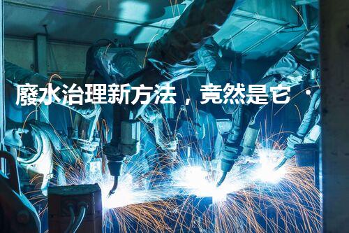 廢水治理新方法，竟然是它？！